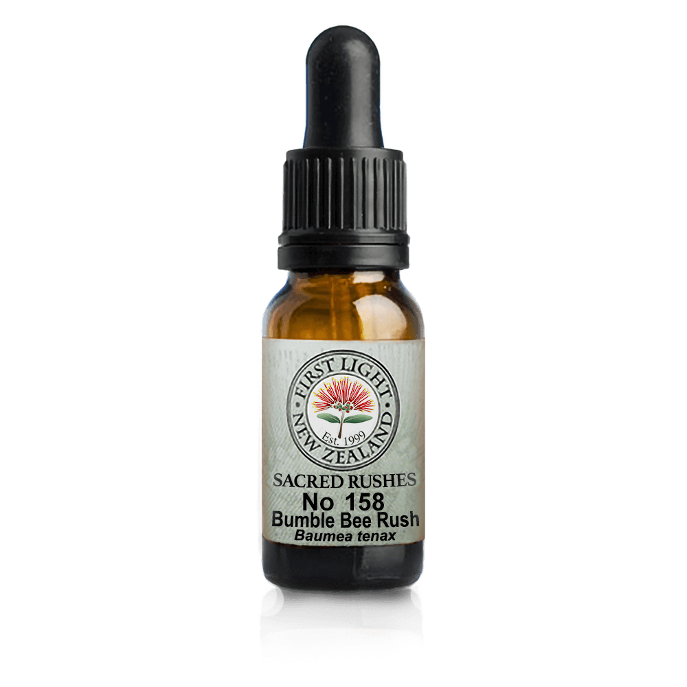 Bumble Bee Rush 10ml-First Light Essences-Matakana Pharmacy