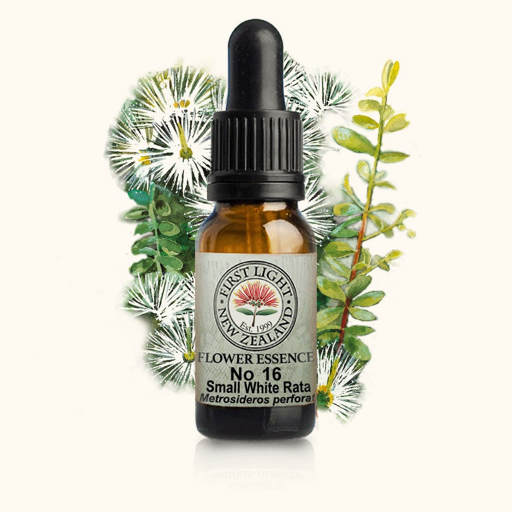 Small White Rata Essence 10ml-First Light Essences-Matakana Pharmacy