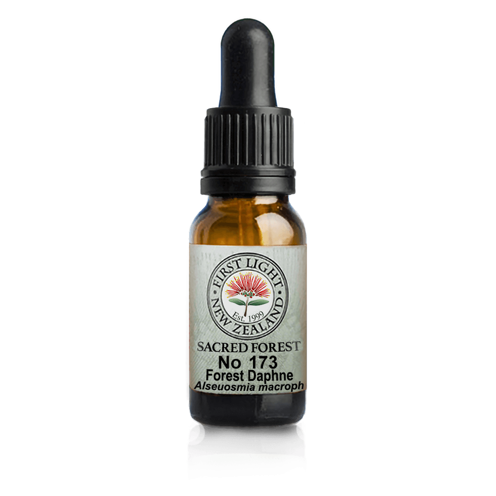 Forest Daphne 10ml-First Light Essences-Matakana Pharmacy