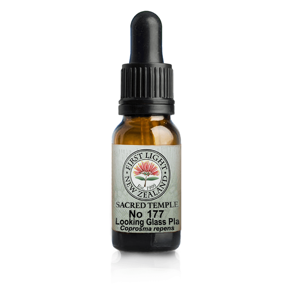 Looking Glass Plant 10ml-First Light Essences-Matakana Pharmacy