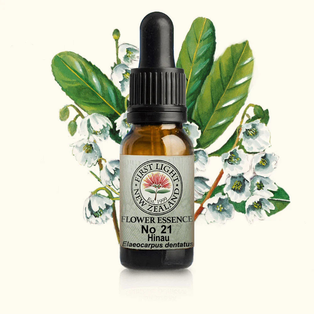 Hinau Sacred Space Essence 10ml-First Light Essences-Matakana Pharmacy