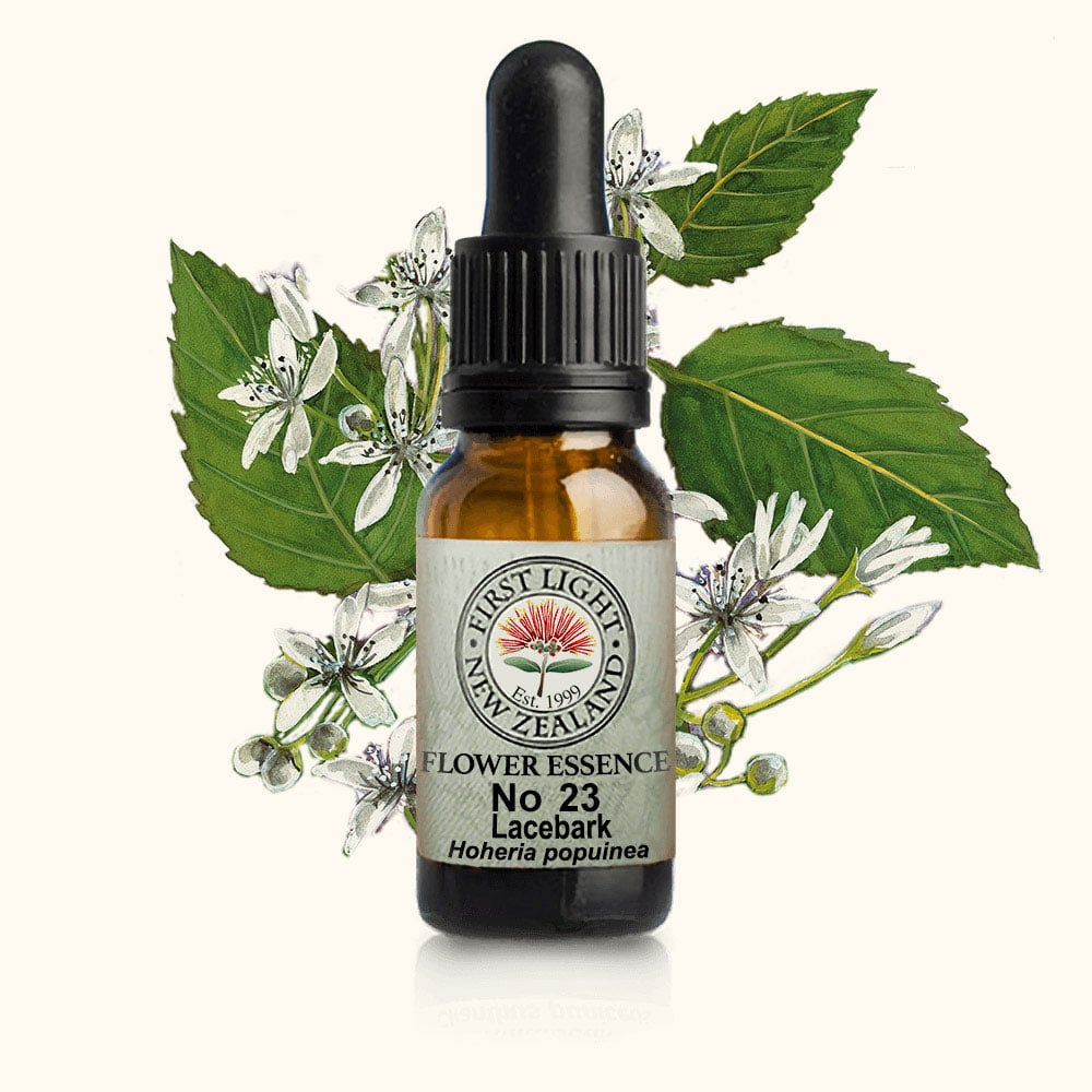 Lacebark Essence 10ml-First Light Essences-Matakana Pharmacy