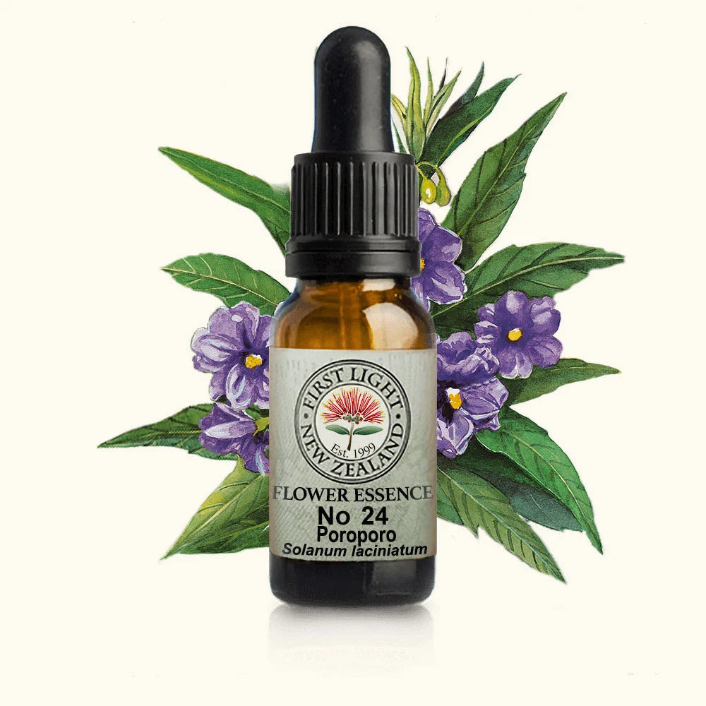Poroporo Essence 10ml-First Light Essences-Matakana Pharmacy