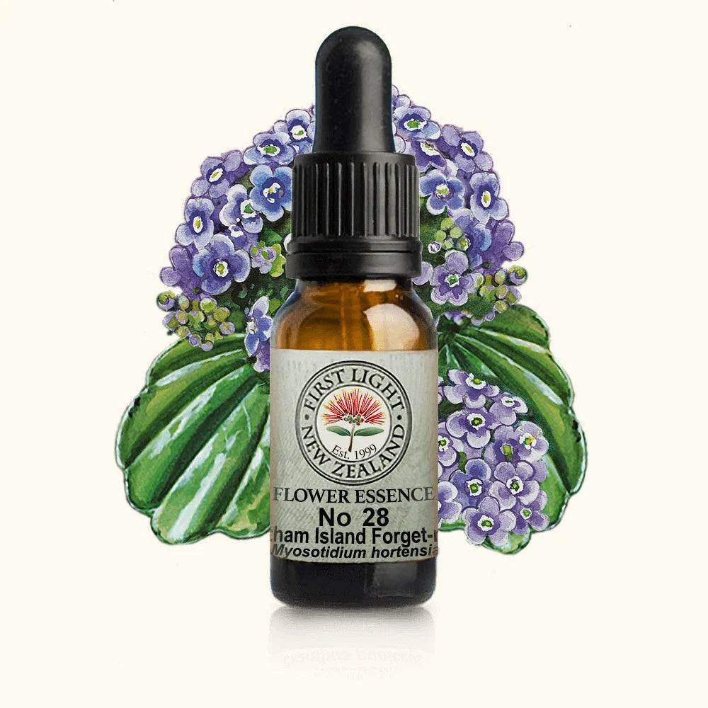 Chatham Island Forget Me Not 10ml-First Light Essences-Matakana Pharmacy