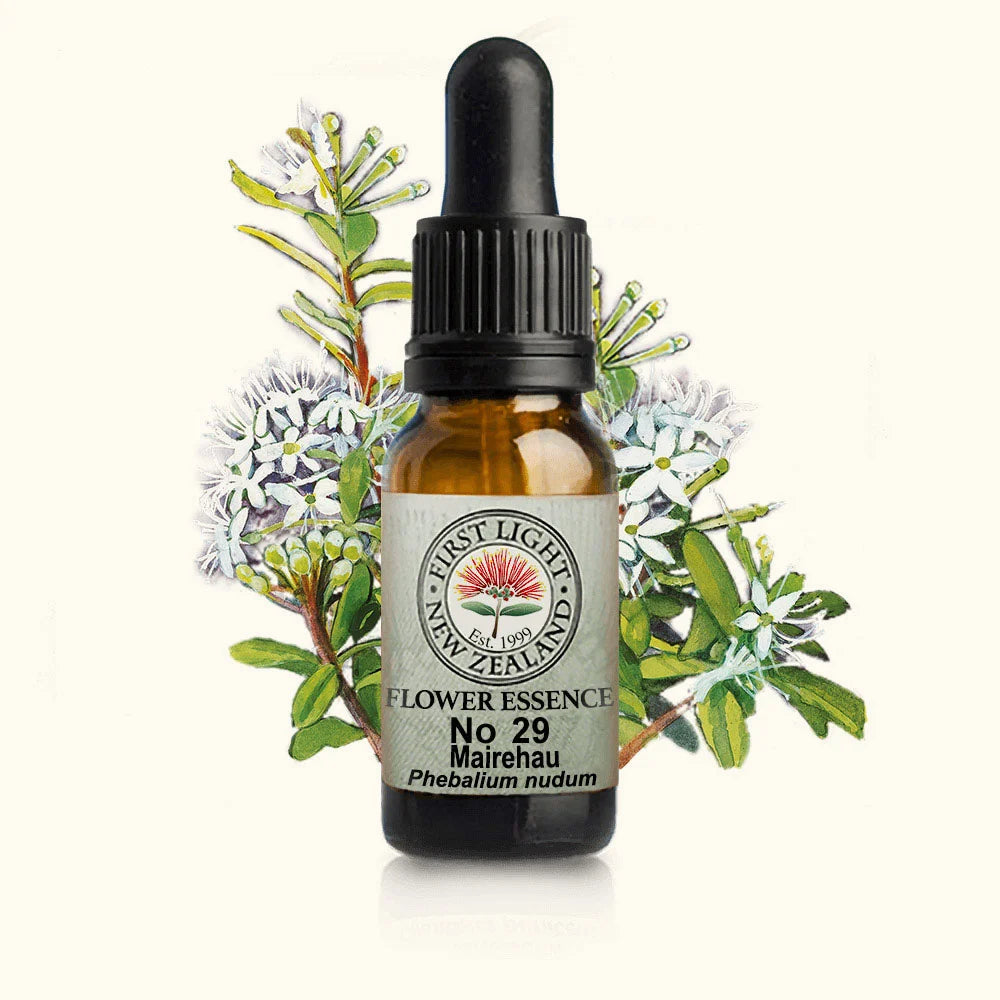 Mairehau Essence 10ml-First Light Essences-Matakana Pharmacy