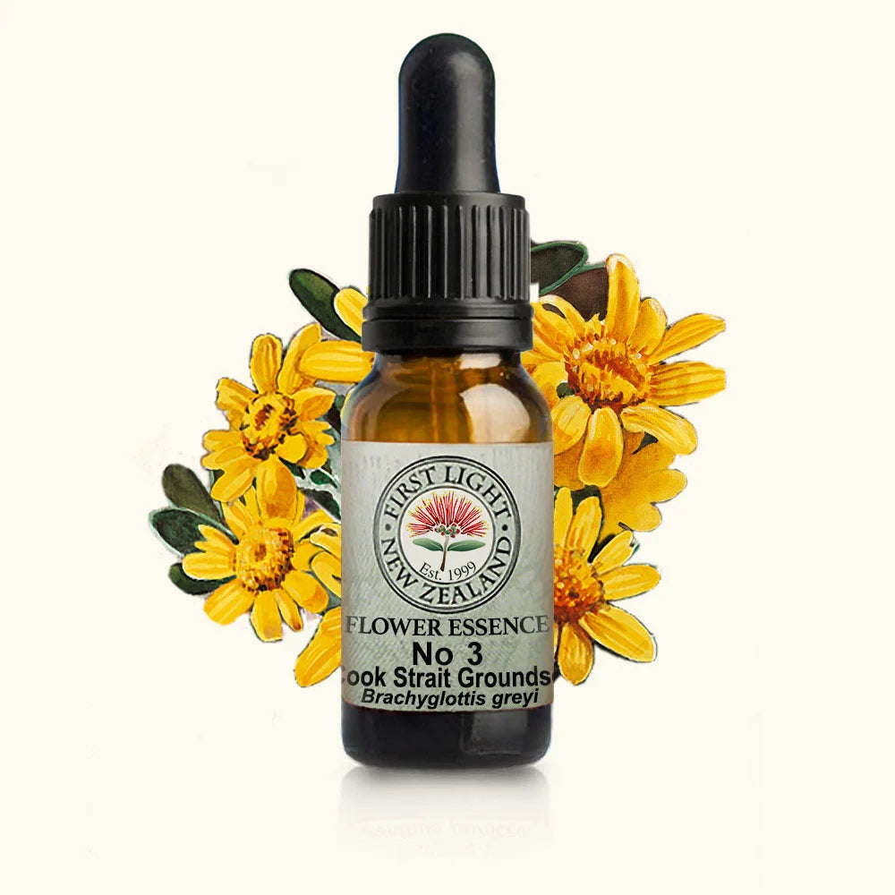 Cook Strait Groundsel Essence 10ml-First Light Essences-Matakana Pharmacy