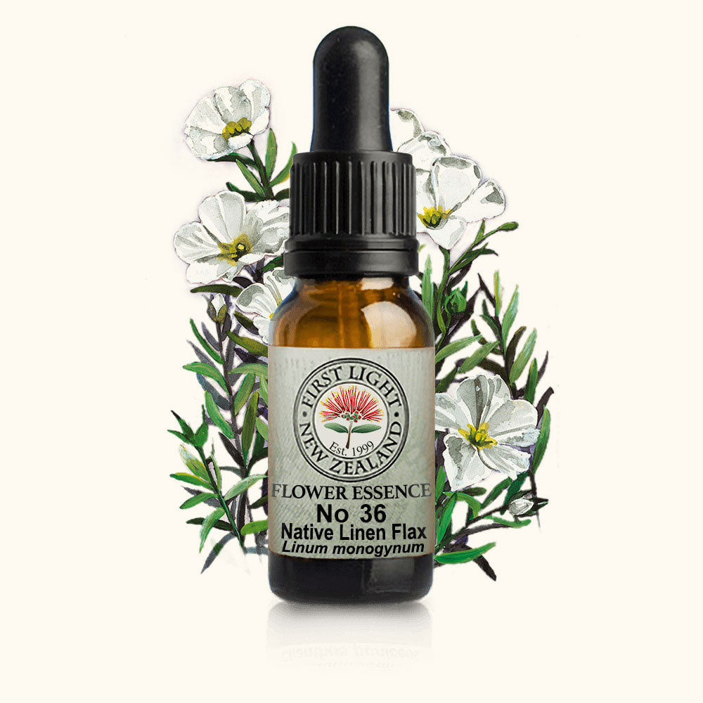 Native Linen Flax Essence 10ml-First Light Essences-Matakana Pharmacy