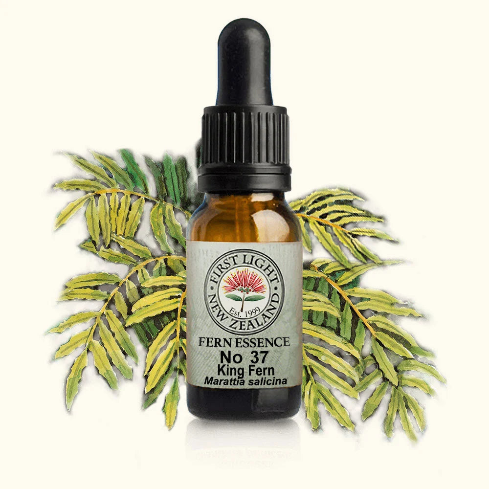 King Fern Essence 10ml-First Light Essences-Matakana Pharmacy
