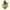 Plumed Maidenhair Fern Essence 10ml-First Light Essences-Matakana Pharmacy