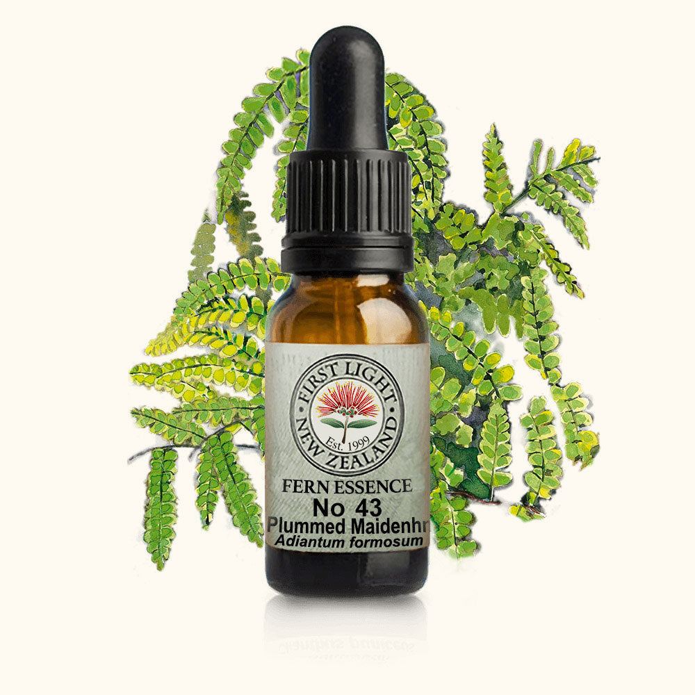 Plumed Maidenhair Fern Essence 10ml-First Light Essences-Matakana Pharmacy