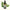 Broadleaf Essence 10ml-First Light Essences-Matakana Pharmacy