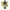 Rangiora Essence 10ml-First Light Essences-Matakana Pharmacy