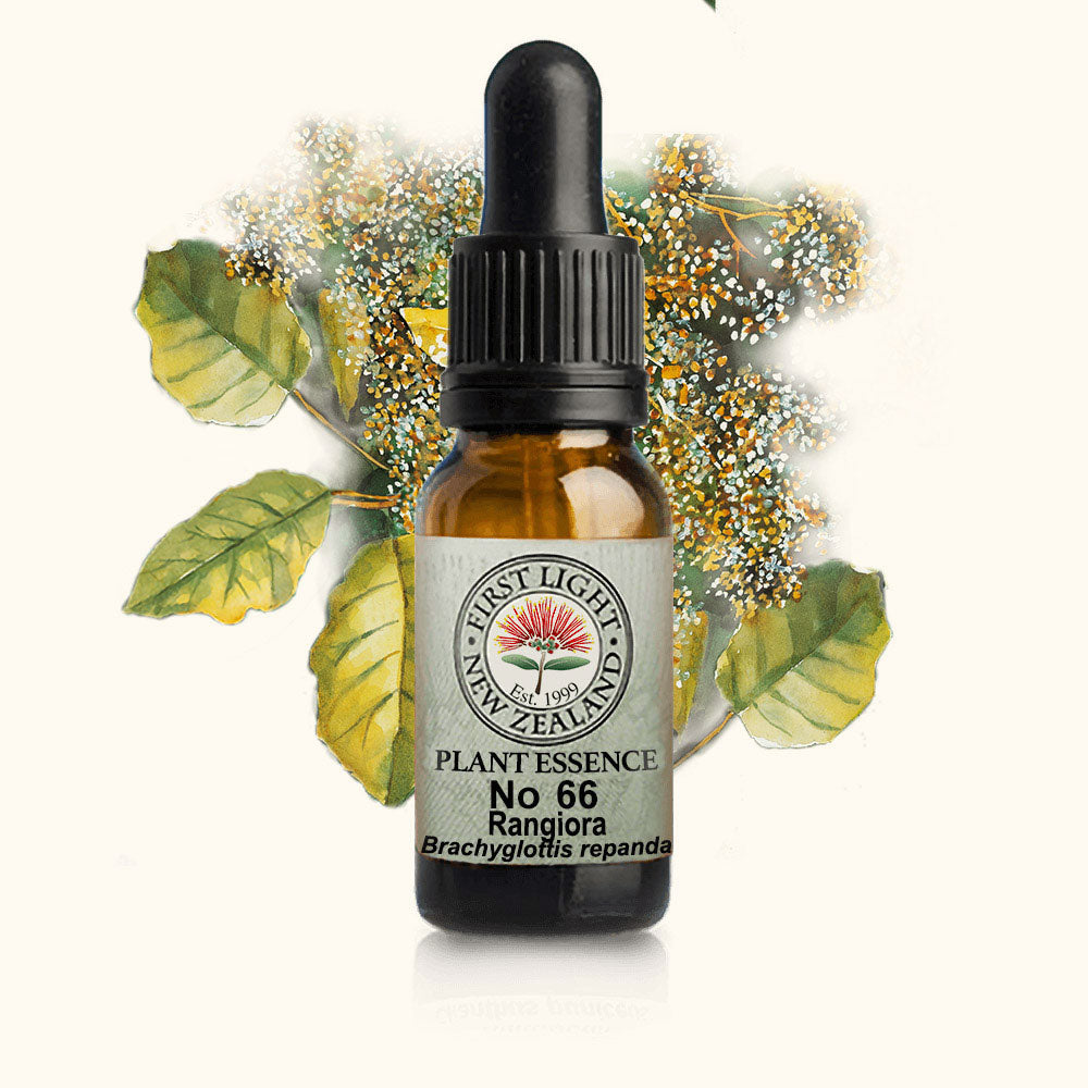 Rangiora Essence 10ml-First Light Essences-Matakana Pharmacy