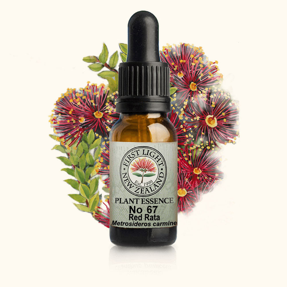 Red Rata Essence 10ml-First Light Essences-Matakana Pharmacy