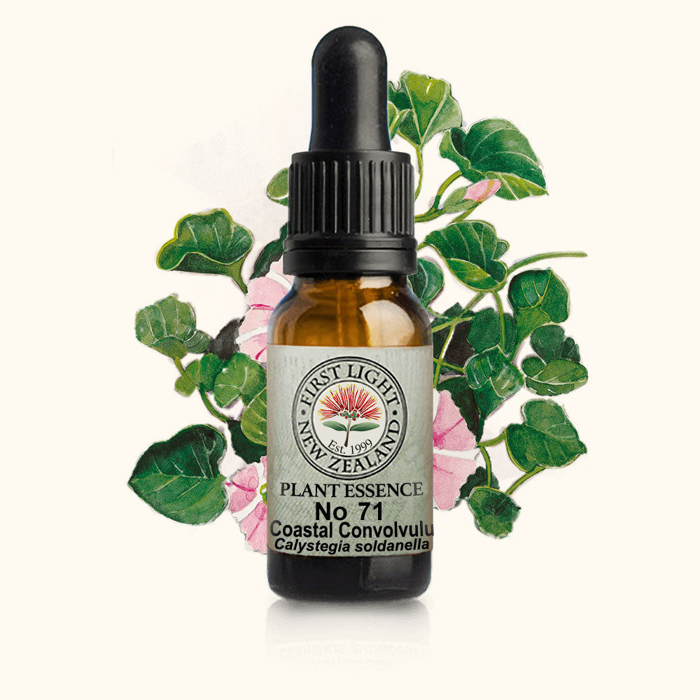 Coastal Convolvulus Essence 10ml-First Light Essences-Matakana Pharmacy