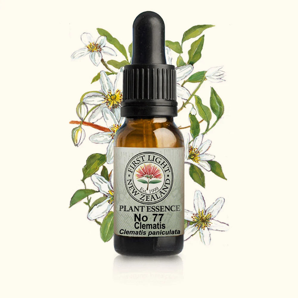 Clematis Essence 10ml-First Light Essences-Matakana Pharmacy