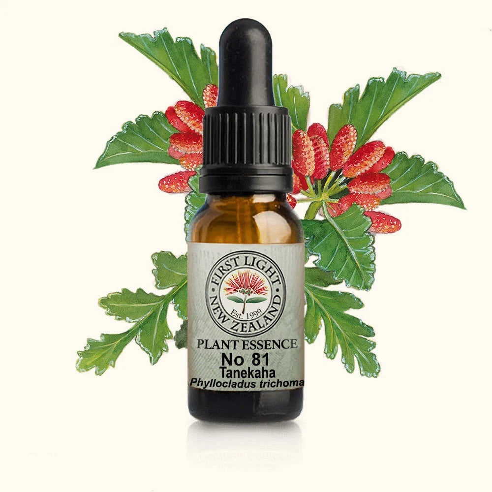 Tanekaha Essence 10ml-First Light Essences-Matakana Pharmacy