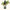 Black Mamaku Essence 10ml-First Light Essences-Matakana Pharmacy