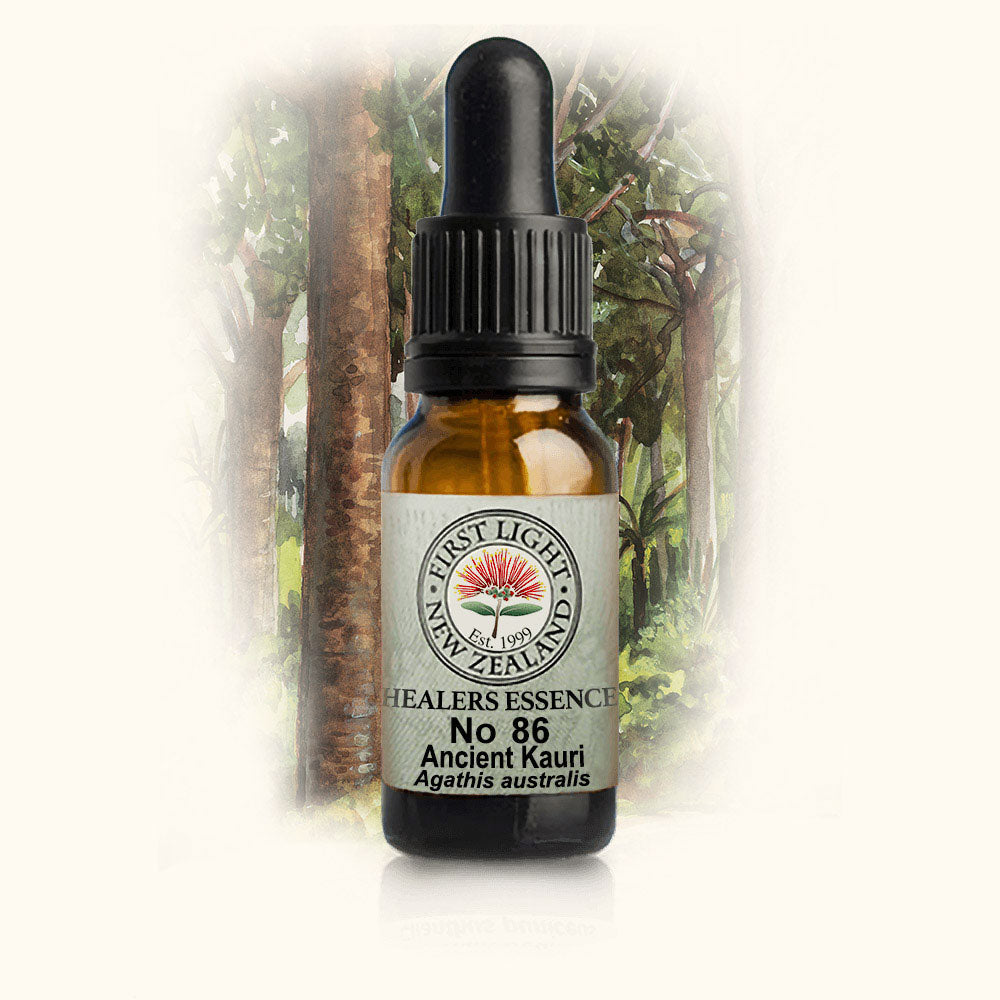 Ancient Kauri Essence 10ml-First Light Essences-Matakana Pharmacy