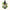 Native Daphne Essence 10ml-First Light Essences-Matakana Pharmacy