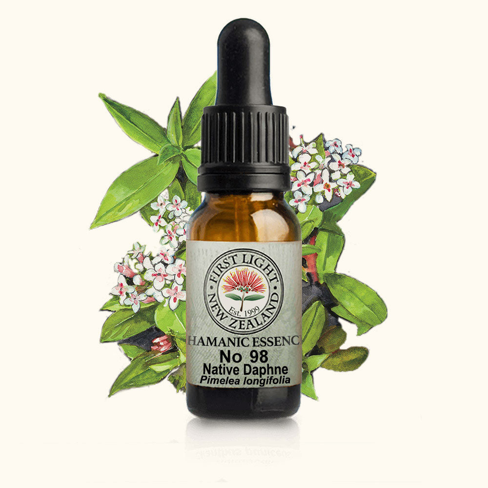 Native Daphne Essence 10ml-First Light Essences-Matakana Pharmacy
