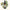 Pale Flowered Kumarahau Essence 10ml-First Light Essences-Matakana Pharmacy