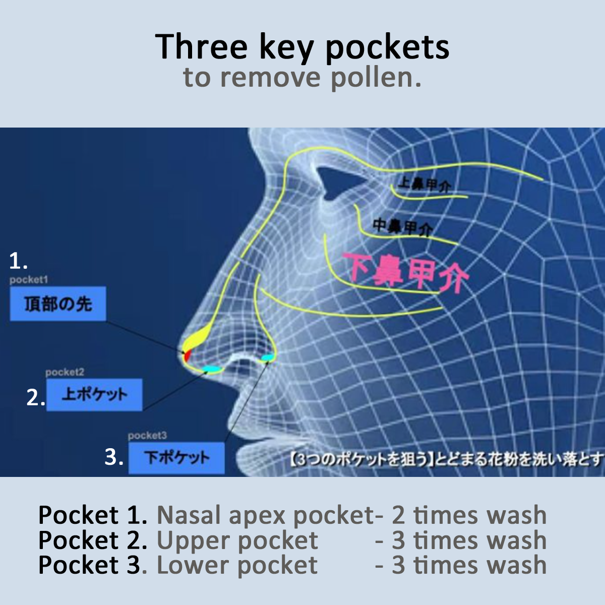 Nose Brush Premium Medium-Japanese Nose Brush-Matakana Pharmacy
