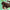 Image of Protein Energy Bar Choc Mint out of wrapper
