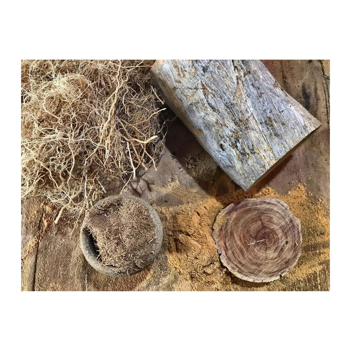 Presence Incense Planks - Sandalwood & Australian Vetiver incense burning on a dish