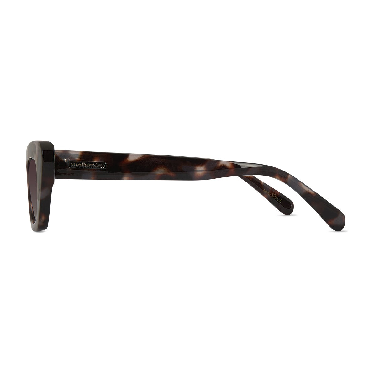 Wollumbin Poolside tortoiseshell frame, angled