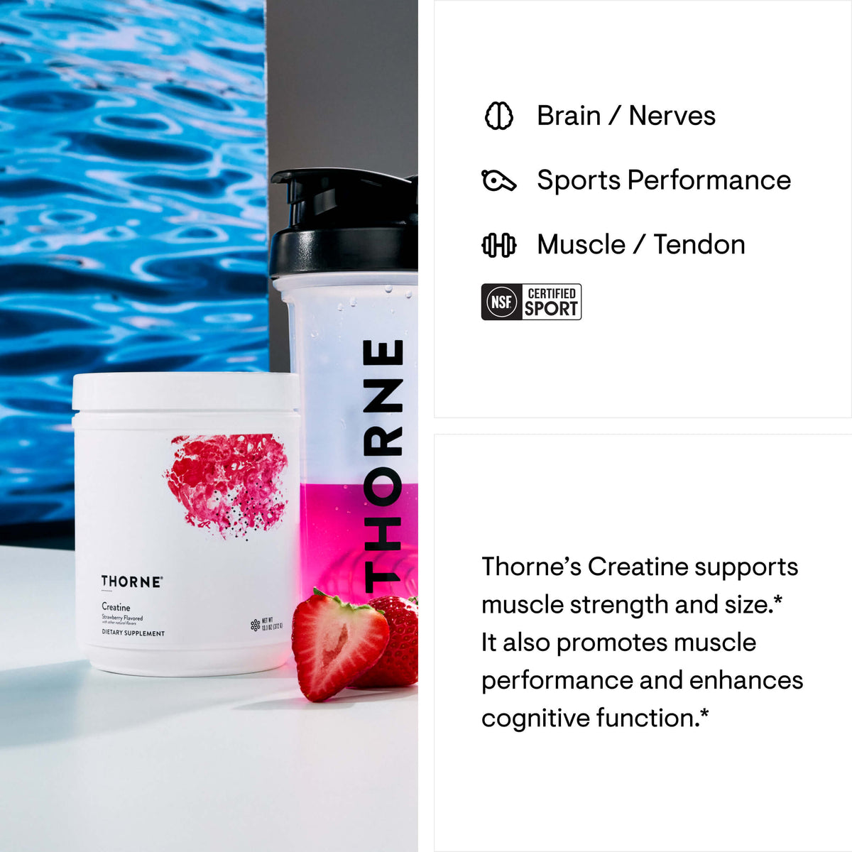 Creatine Strawberry Powder (60 Serves) 372g-Thorne-Matakana Pharmacy