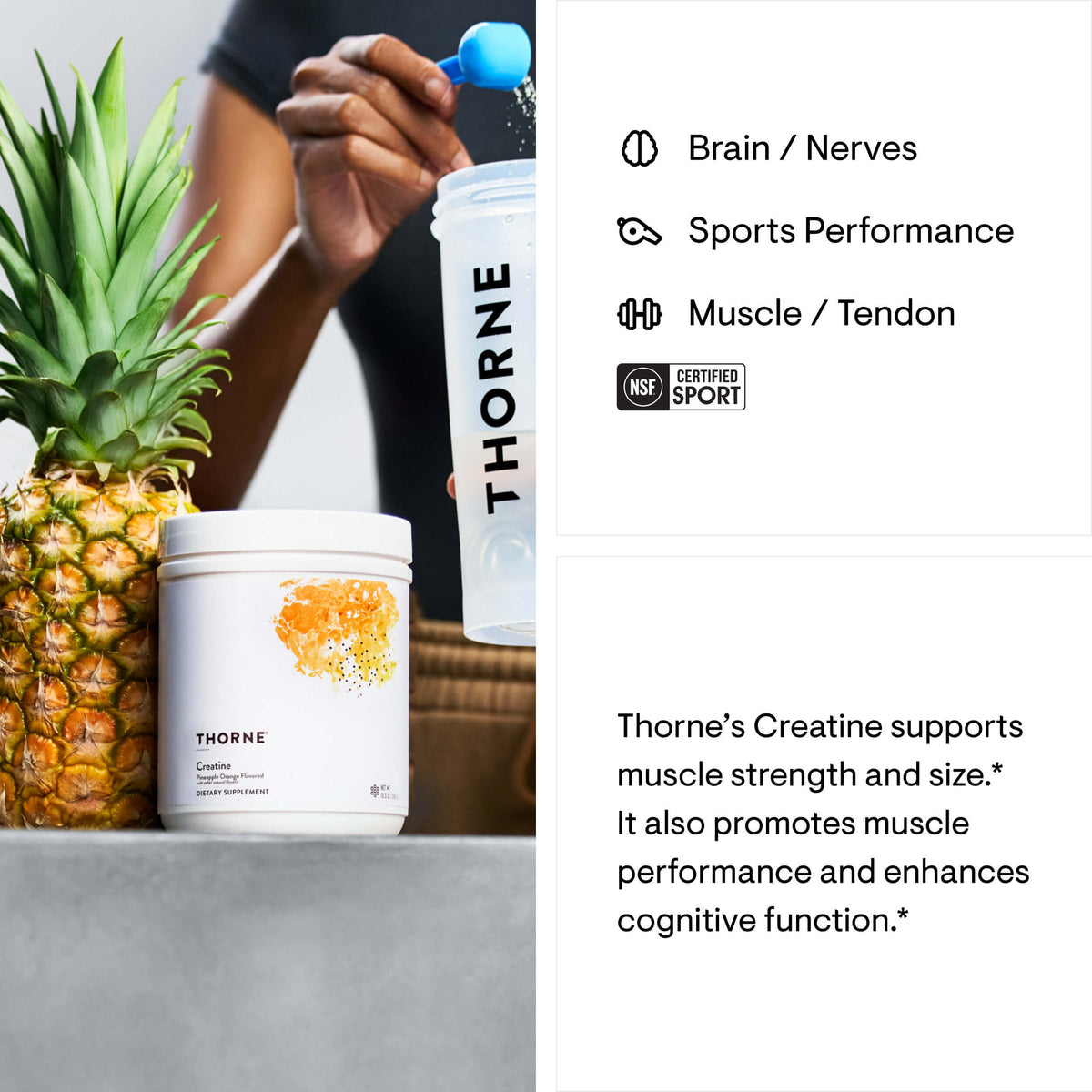 Creatine Pineapple Orange (60 Serves) 384g-Thorne-Matakana Pharmacy