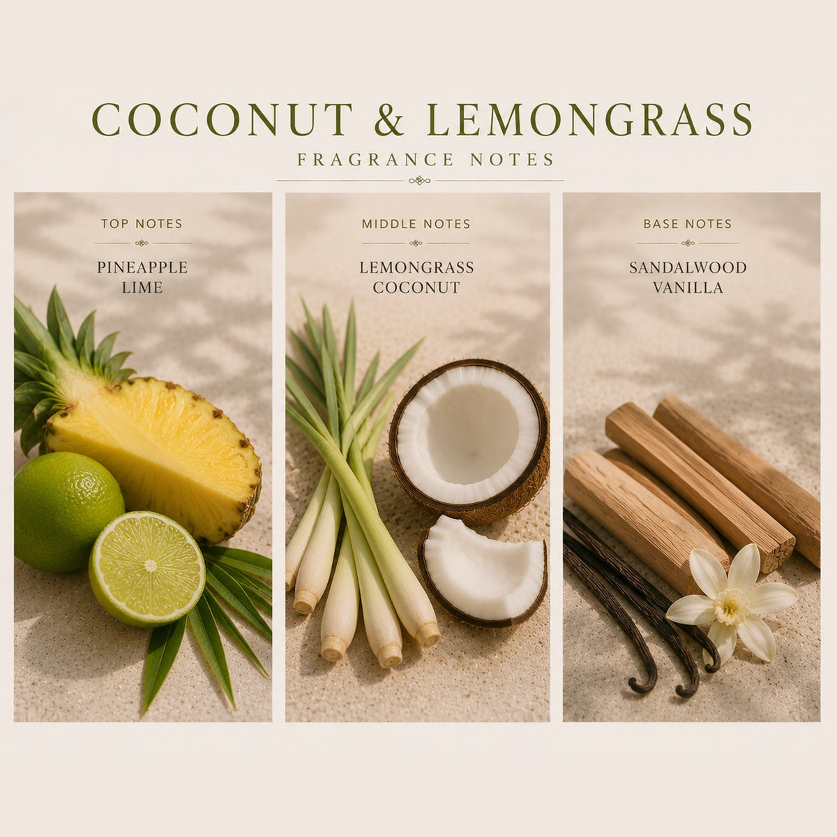 Coconut and Lemongrass fragrance notes: Top | pineapple, lime; Middle | lemongrass, coconut; Base | sandalwood, vanilla