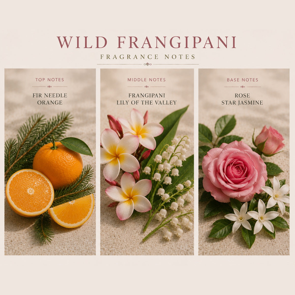 Wild Frangipani fragrance notes: Top | fir needle, orange; Middle | frangipani, lily of the valley; Base | rose, star jasmine