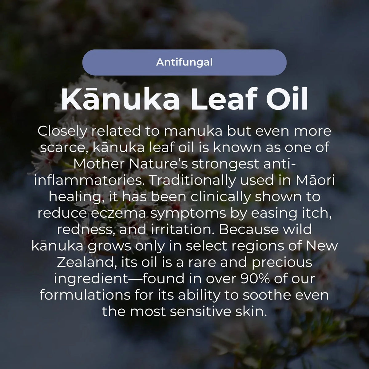 Miracle Manuka Skin Repair Ointment / Balm 100g-Sven's Island-Matakana Pharmacy