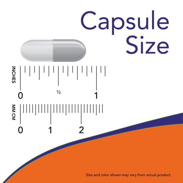 Image showing size of empty capsule