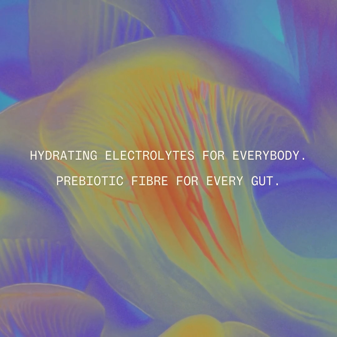 Pre Hydrate + Prebiotic Hydration Fresh Mandarin-my way up-Matakana Pharmacy