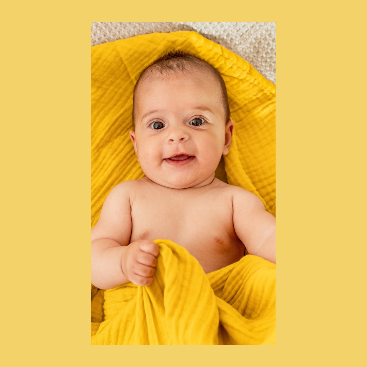 Weleda Baby Colic Powder 60g, pack detail