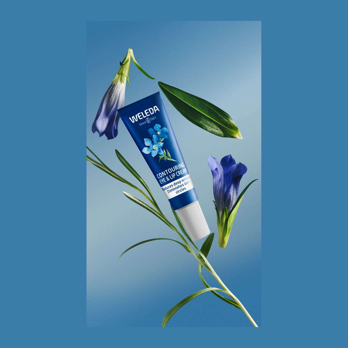 Weleda Contouring Eye/Lip Cream Blue Gentian/Edelweiss 10ml, pack detail