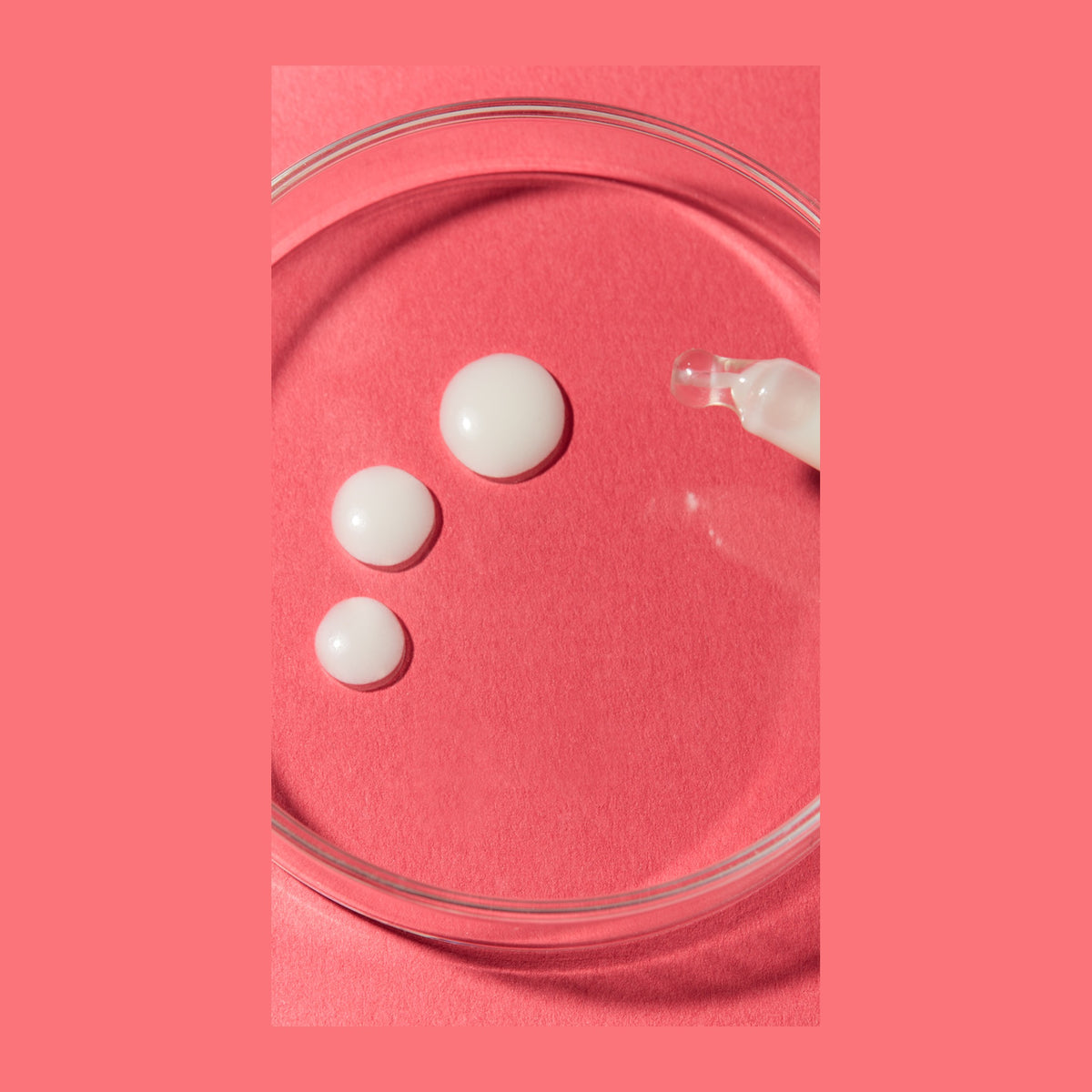 Weleda Firming Face Serum Pomegranate & Maca 30ml, pack detail