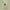 Weleda Vitality Shower Cream Sea Buckthorn 400ml, pack detail
