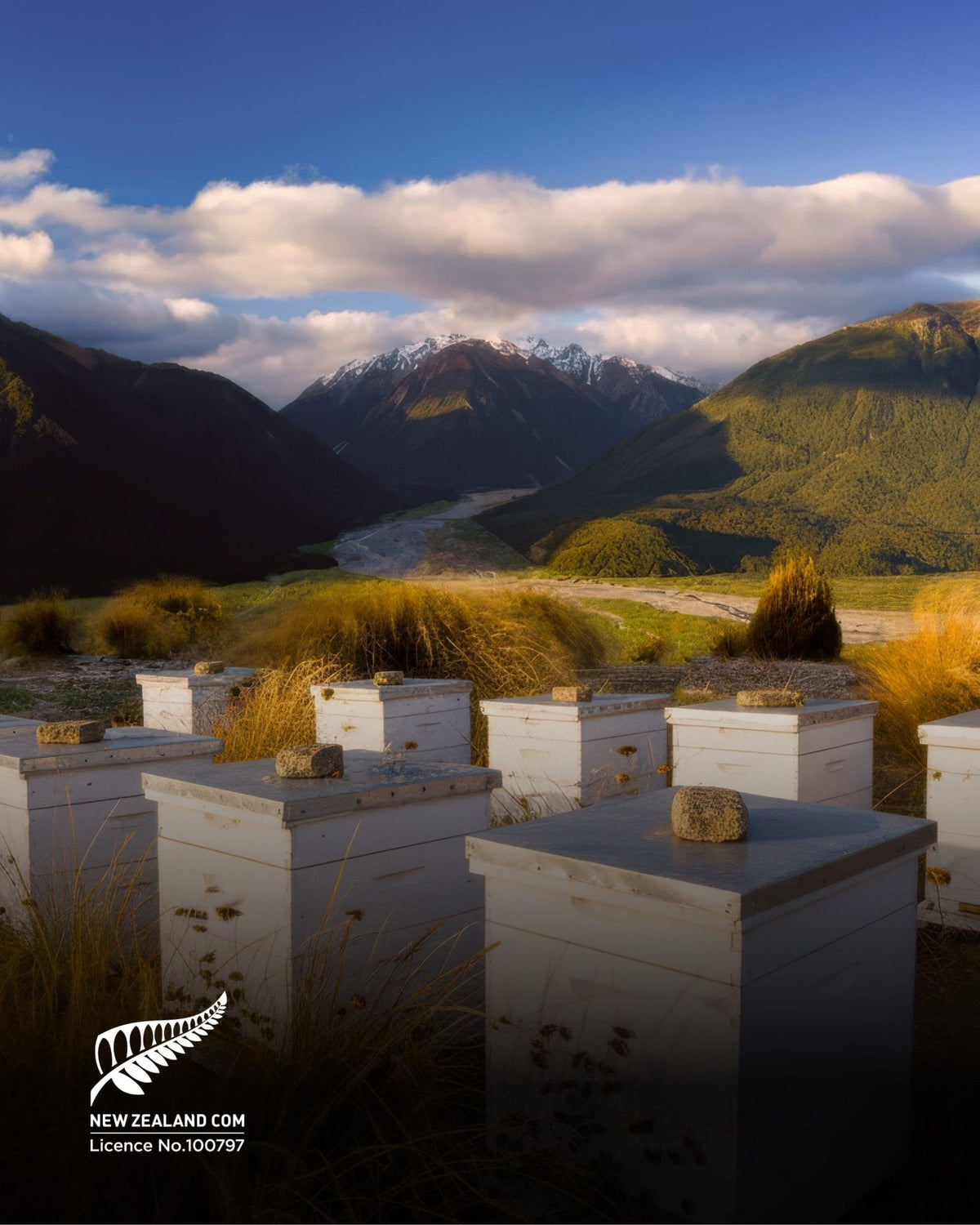 Beehives in a New Zealand high country valley