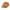 Kooringal Women's Dad Cap Vacay Everyday in Caramel, front