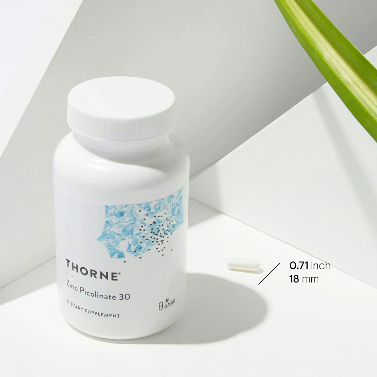 Thorne supplements bottle with capsule size measurement details on a light background