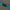 Luggage Strap Turquoise-Matakana Pharmacy