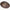 Antique Small Rugby Ball-Matakana Pharmacy