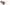 Moana Kids Sunnies Tortoiseshell-Matakana Pharmacy